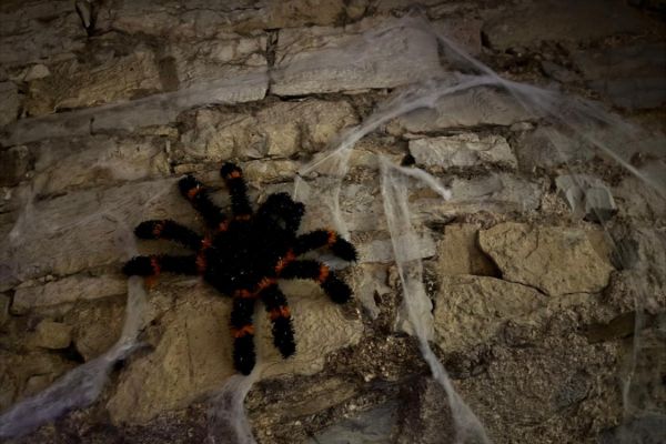 Kinderhalloween 2025